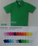 polo03